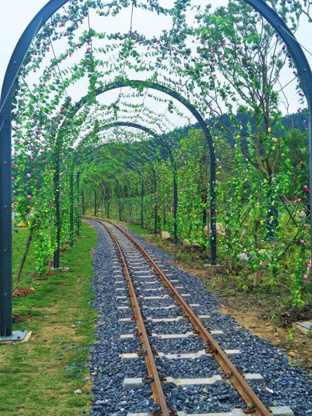 盘江煤电集团医院部署2024年重点任务