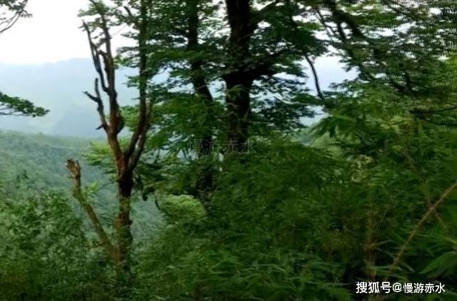 港股异动 | 海南离岛免税销售仍在修复 中国中免(01880)跌超4% 美兰空港(00357)盘中跌近7%