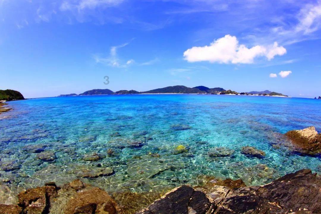 炸弹专家