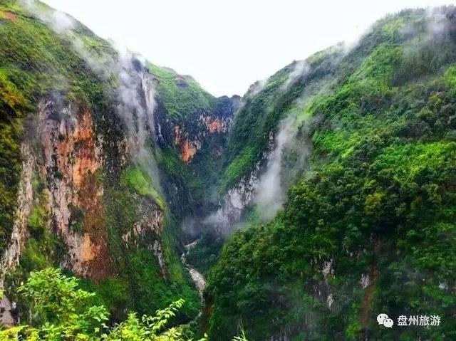 国王的坐骑