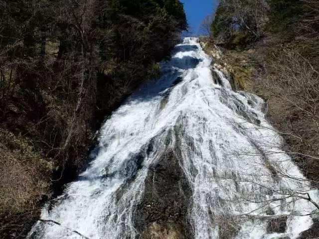 巧变同色