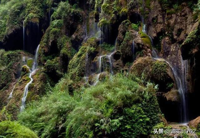机智问答网页-智慧答案尽在蜀山正传apk