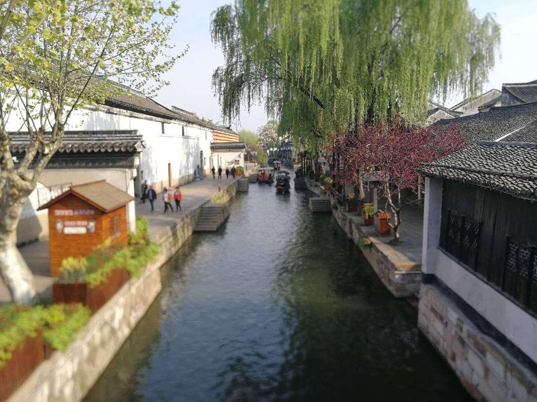拯救枯树