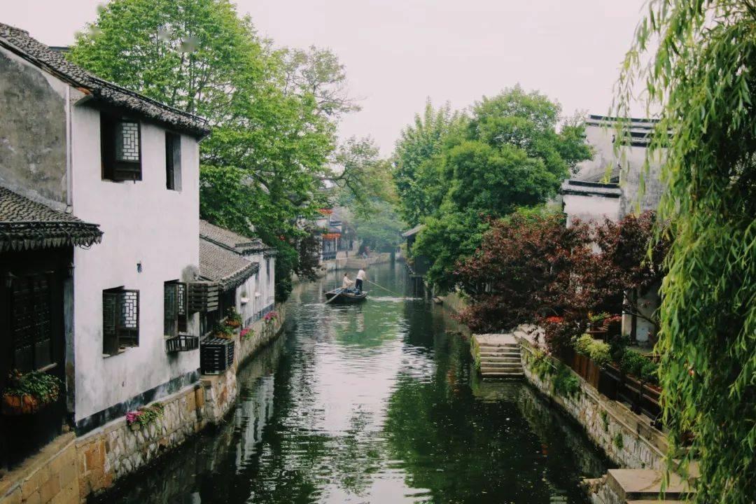 除虫大师