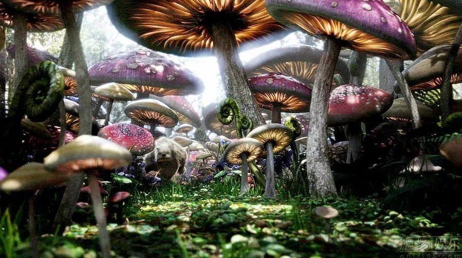 公主的华丽晚宴